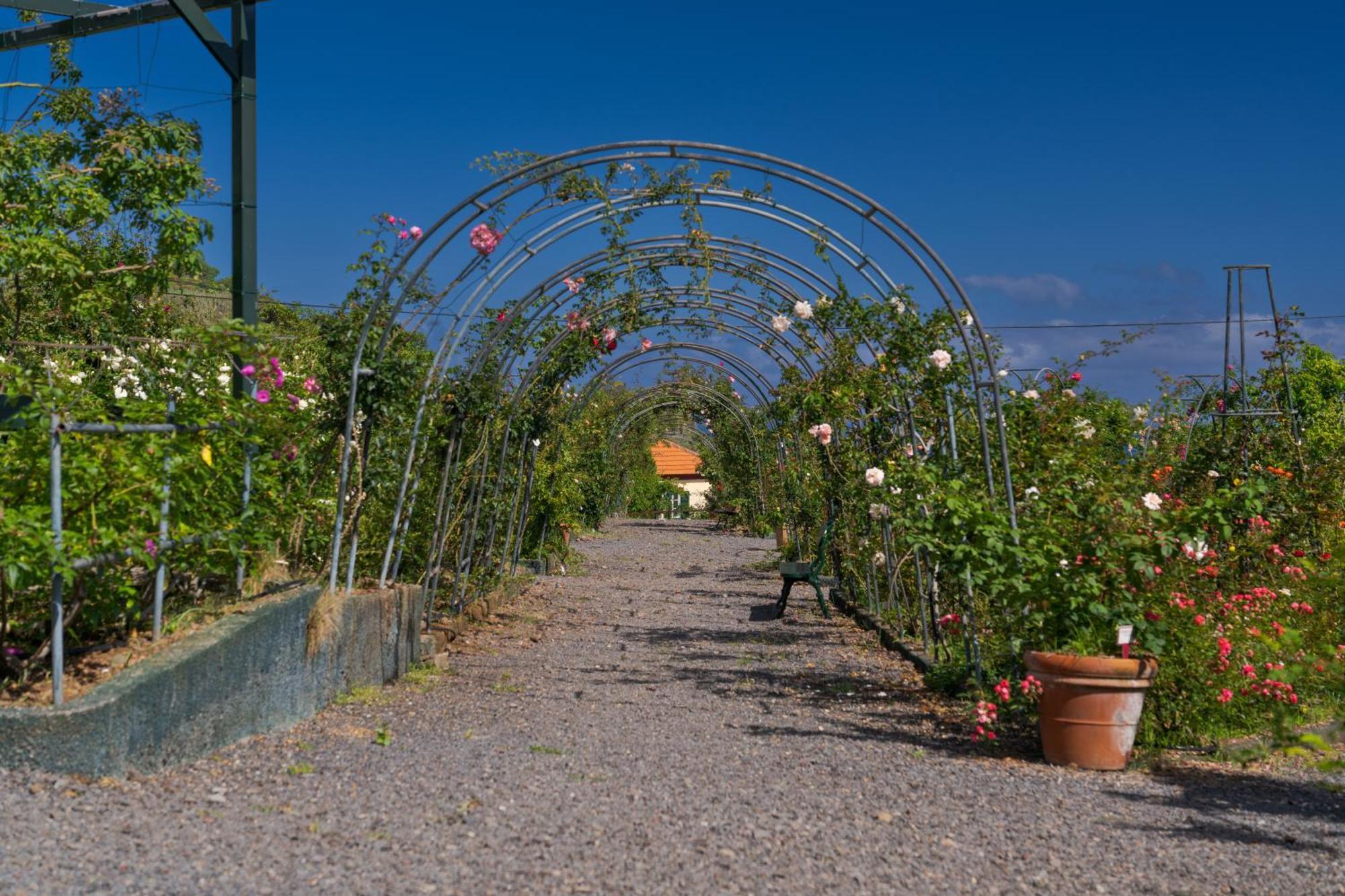 Pestana Quinta Do Arco Nature & Rose Garden Hotel Arco de São Jorge Εξωτερικό φωτογραφία