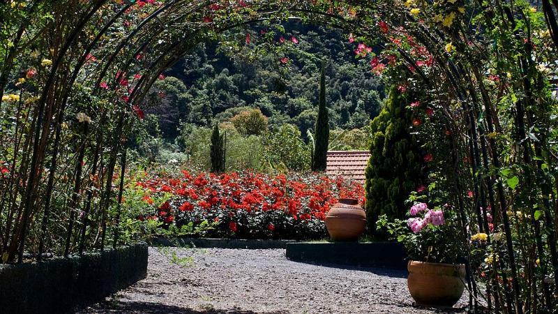 Pestana Quinta Do Arco Nature & Rose Garden Hotel Arco de São Jorge Εξωτερικό φωτογραφία