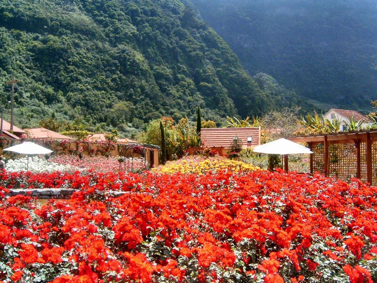 Pestana Quinta Do Arco Nature & Rose Garden Hotel Arco de São Jorge Εξωτερικό φωτογραφία
